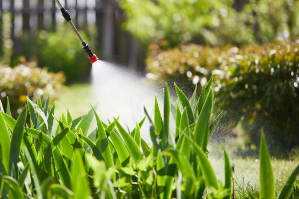 24/7 Emergency Wasp Removal experts in Grantsburg, WI