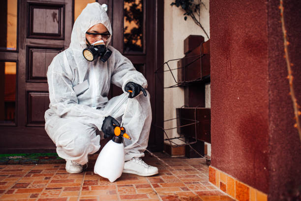 Reliable Wasp Removal contractor in Grantsburg, WI by Show Me Pest Control