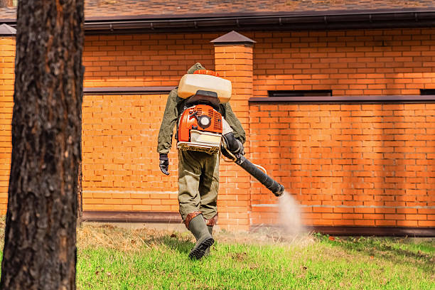 Top rated local Wasp Removal specialists in Grantsburg, WI
